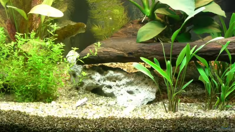 detail rechts von Stephan Fehringer (3)