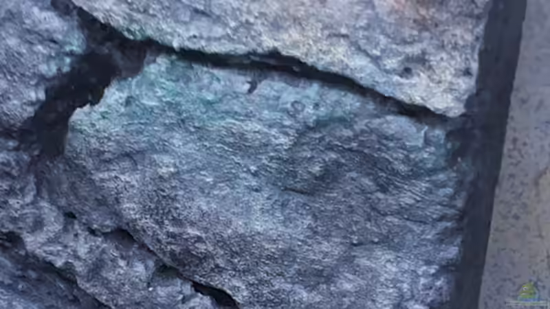 Detail Rückwand von Copplepot Lord (20)