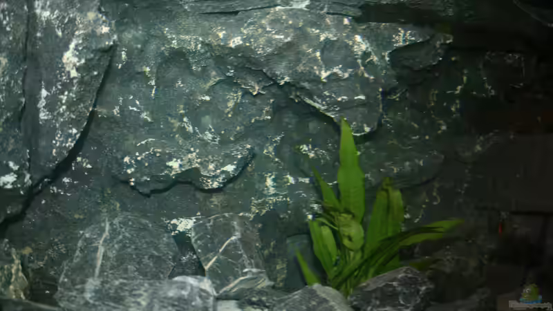 Detail Rückwand von Jean-Paul Ambord (18)