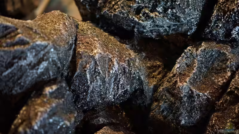 Detail Rückwand von pa.Trick (15)