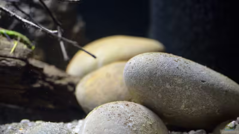 Detail Steine  von Didi (11)