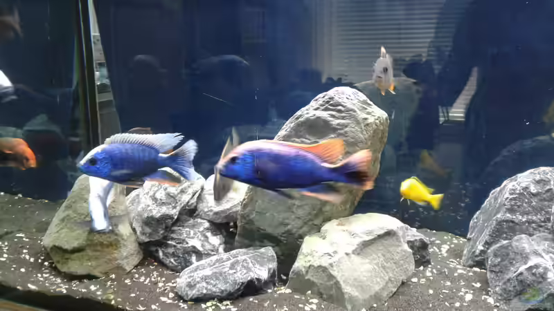 Detail Steinhaufen außen von Tristan (4)