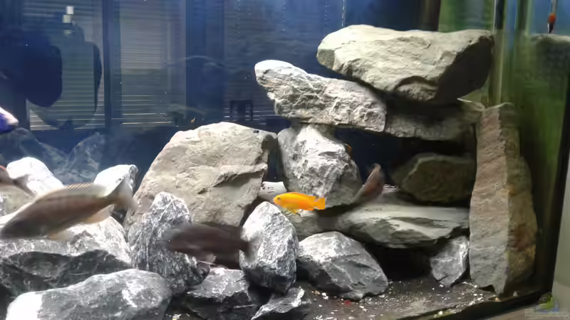 Detail Steinhaufen Wandseite von Tristan (3)