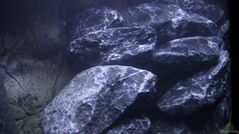 Detail von links von MHu (4)