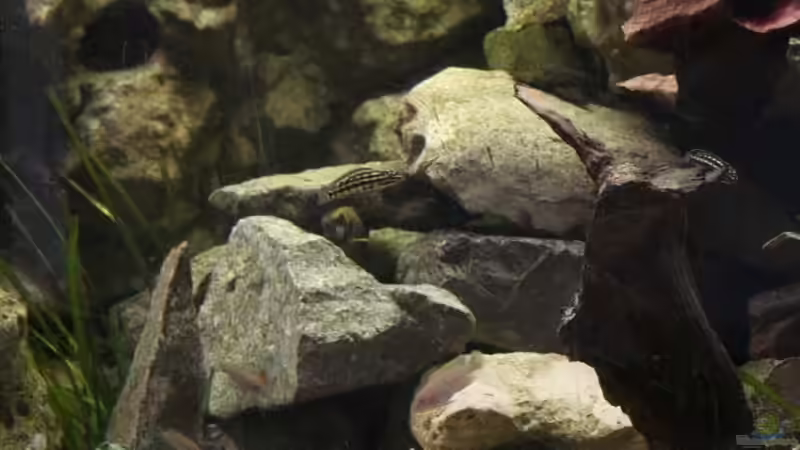 Detail von rechts - durch die Eckkonstruktion entsteht hier eine Tiefe von über von photizo (6)