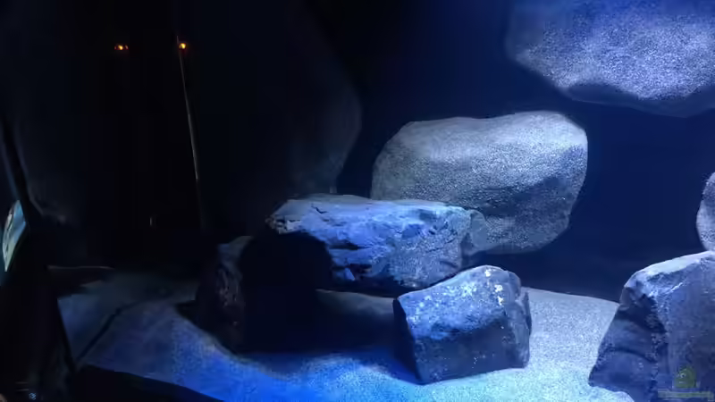 Detailansicht -links 01- von Bremerhavener (3)