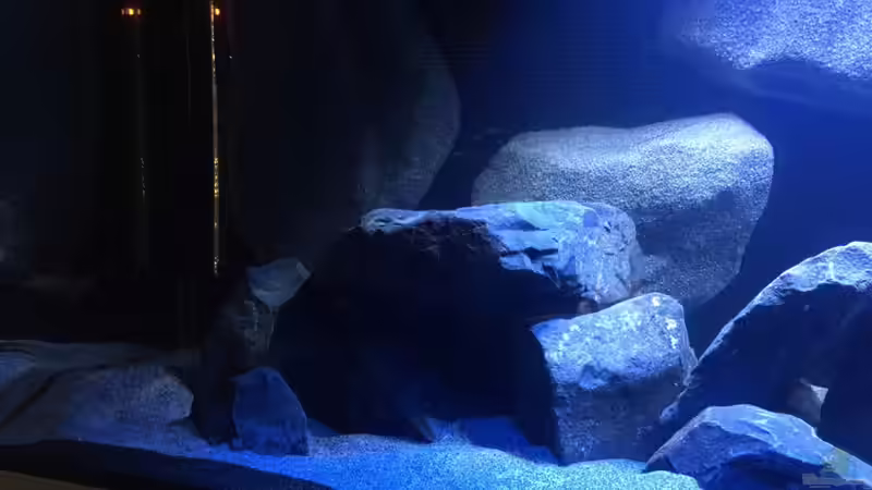 Detailansicht -links 02- von Bremerhavener (6)