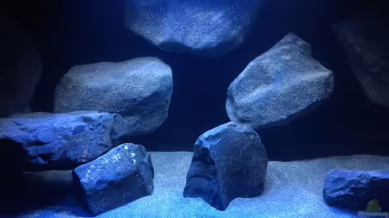 Detailansicht -mittig 01- von Bremerhavener (2)