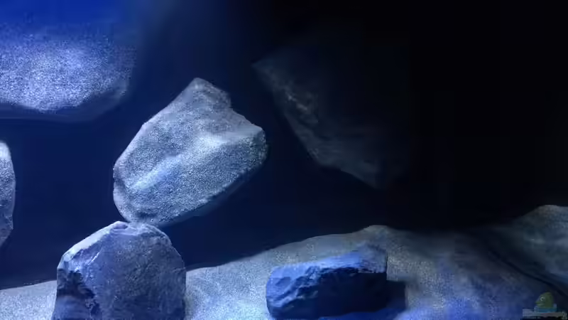 Detailansicht -rechts 01- von Bremerhavener (4)