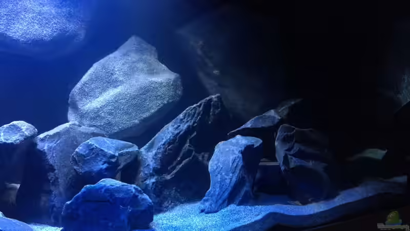 Detailansicht -rechts 02- von Bremerhavener (7)