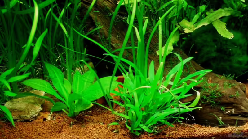 Detailansicht 07.01.11 von ~Marco~ (2)