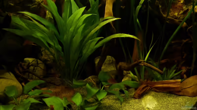 Detailansicht 10.12.12 von ~Marco~ (19)