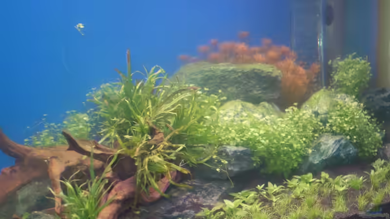 Detailansicht 25.02.2013 von flaschenbauer (20)