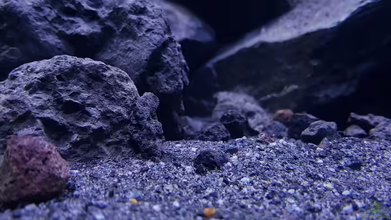 Detailansicht Bodennähe linker Beckenrand von Gernot (4)