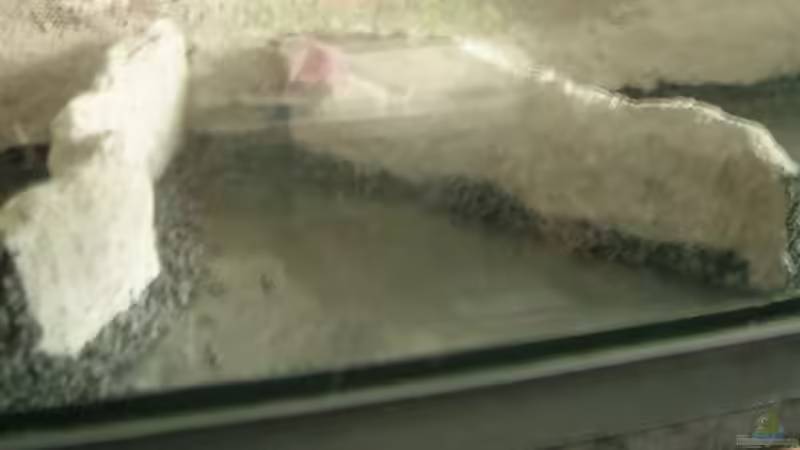 Detailansicht Terassen von Der Analyst (5)