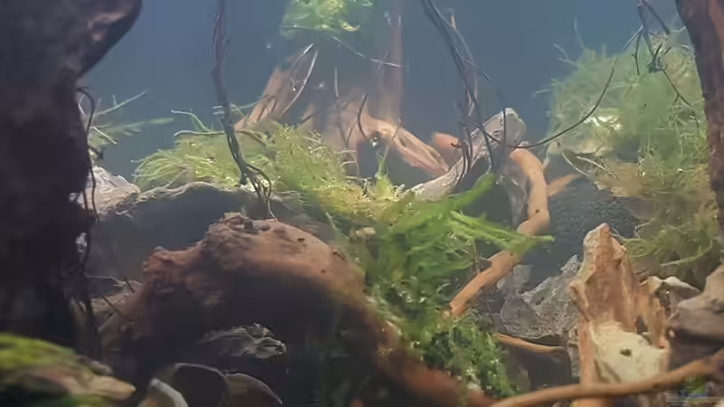 Detailansicht von Erik H. (10)