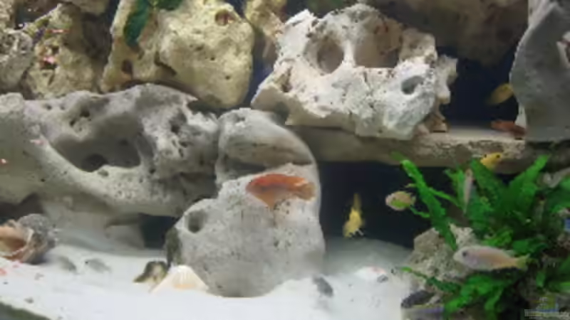 Detailansicht von Helmut Loehr (10)