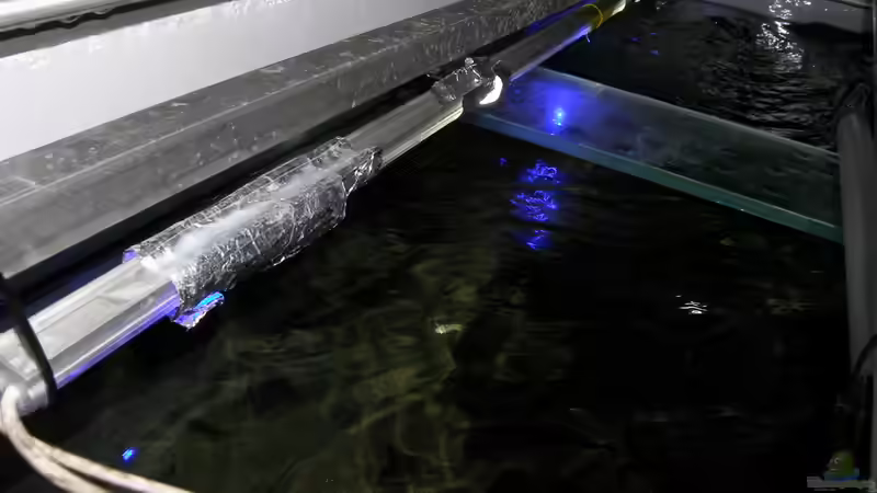 Detailansicht vordere Leiste von bossie1704 (54)