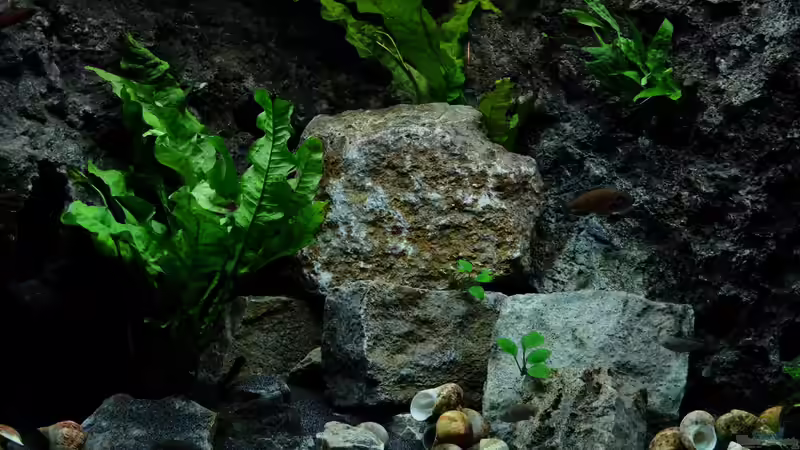 Detailansicht Zentrum - Jan 2016 von Harald Götz (5)