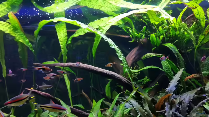 Detailaufnahme 04/2020 von ~Marco~ (38)