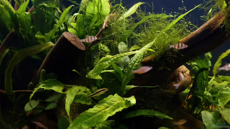 Detailaufnahme 11.10.18 von ~Marco~ (21)