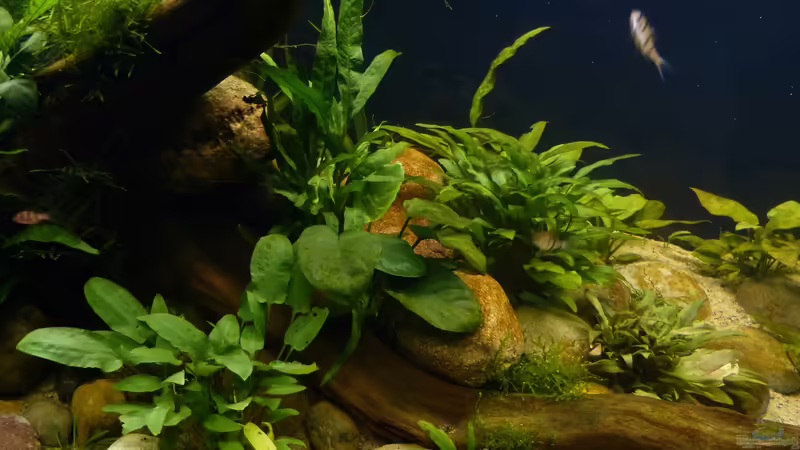 Detailaufnahme 11.10.18 von ~Marco~ (22)