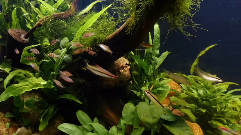 Detailaufnahme 11.10.18 von ~Marco~ (23)