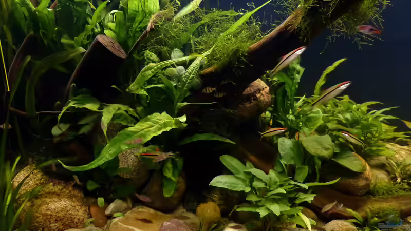 Detailaufnahme 11.10.18 von ~Marco~ (42)