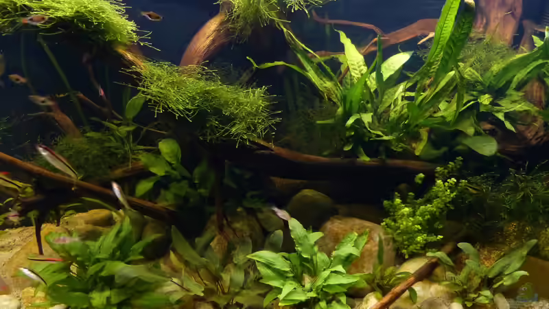 Detailaufnahme 11.10.18 von ~Marco~ (43)