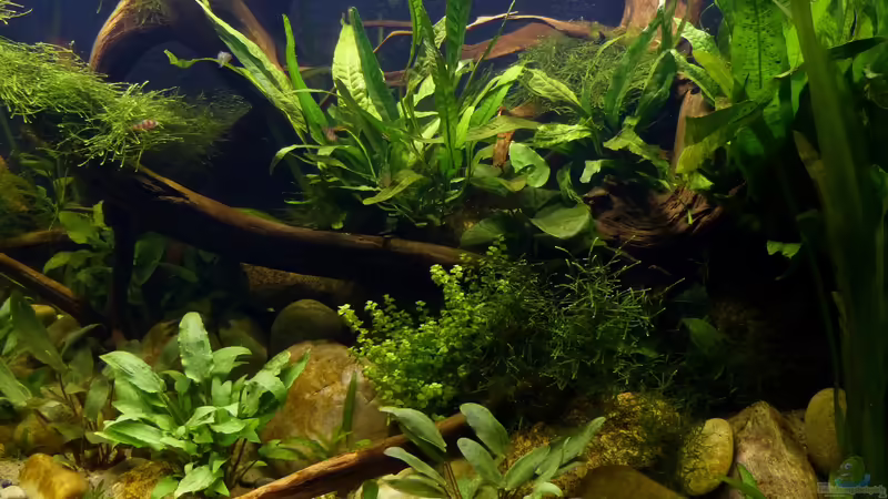 Detailaufnahme 11.10.2018 von ~Marco~ (25)