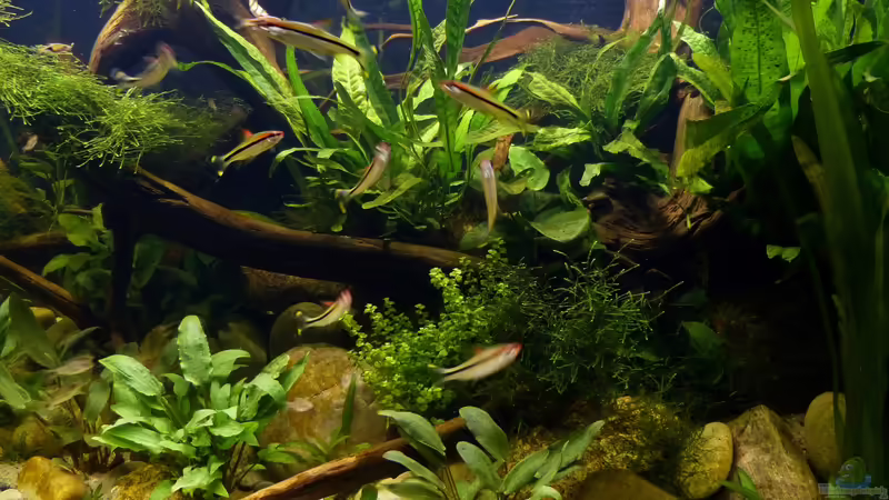 Detailaufnahme 11.10.2018 von ~Marco~ (26)