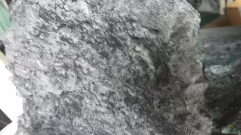 Detailaufnahme einer Terrasse von Copplepot Lord (18)