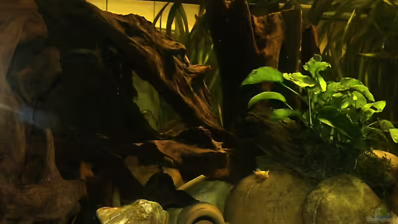 Detailaufnahme von vorn von Uwe Dölling (3)