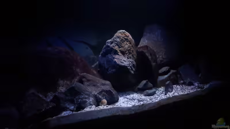 Detailbild  von Dennis Wulf (2)