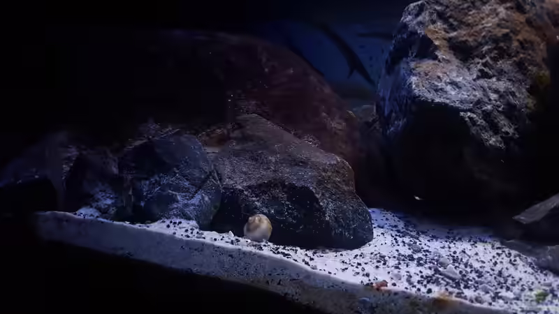 Detailbild von Dennis Wulf (3)