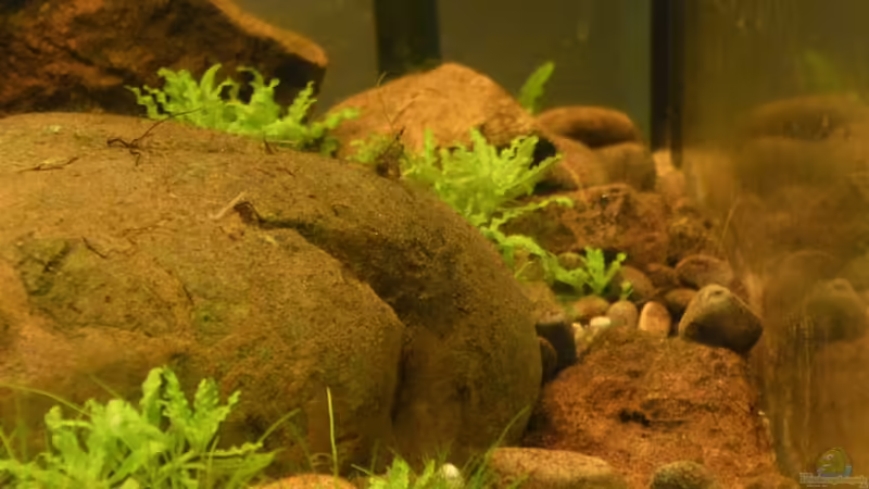 Details  von Dominik (18)