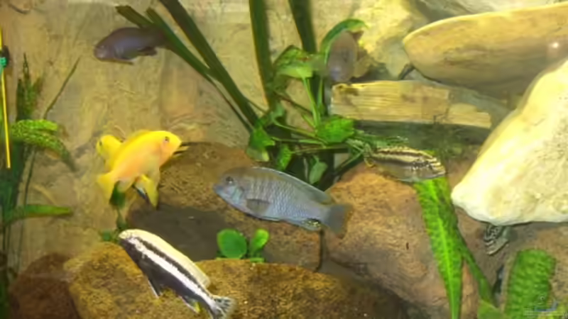 Details 1 von Esslinger (8)