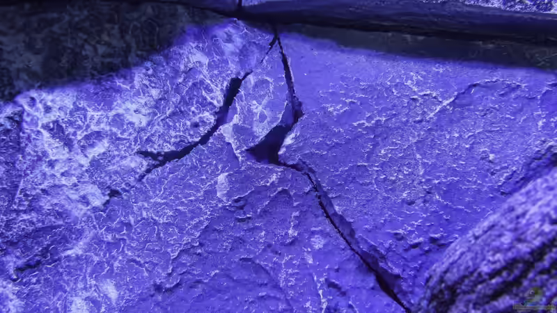 Details der Rückwand von Okrim (16)