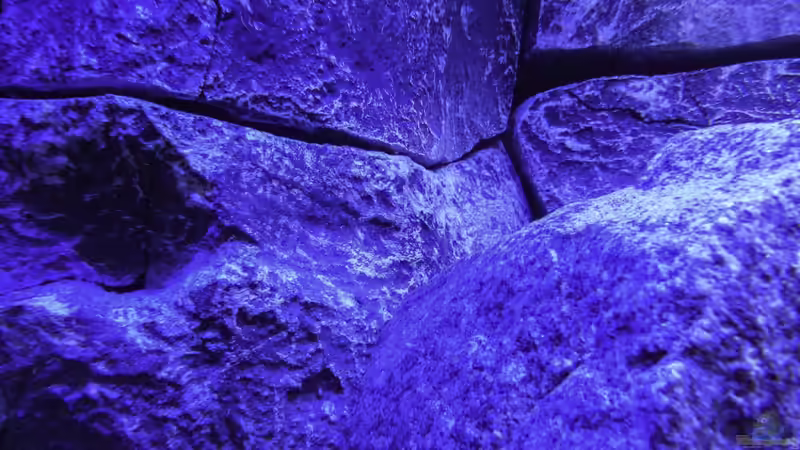 Details der Rückwand von Okrim (18)