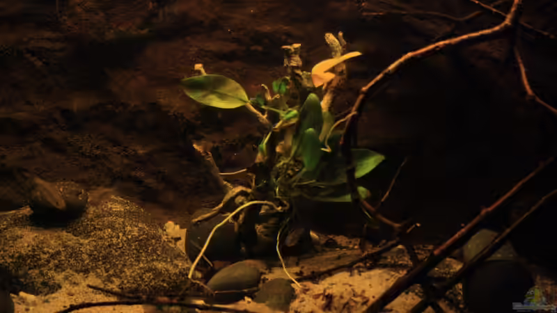 Details des Beckens... von Florian Bandhauer (9)