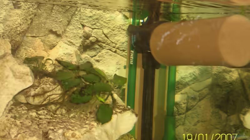 Details des Innenfilters von Lutz Rall (9)