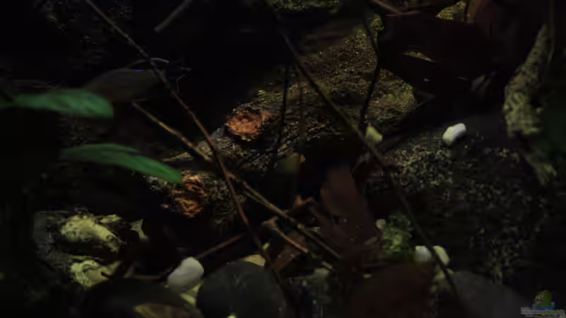 Details sehr wichtig bei der Gestaltung!!! von Florian Bandhauer (14)