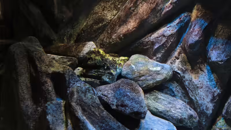 Details vom linken Aufbau von Marco O. (24)