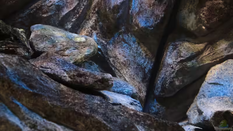 Details vom rechten Aufbau und der Rückwand von Marco O. (37)