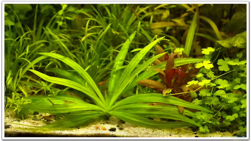 Details von hotwheelz (14)