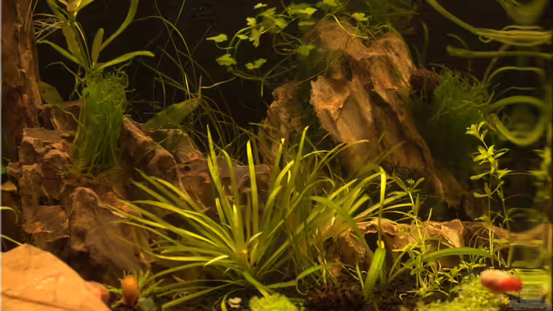 Details von hotwheelz (14)