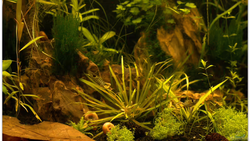 Details von hotwheelz (16)