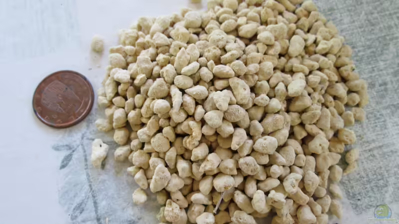 Detall del substracte von lomarraco (59)