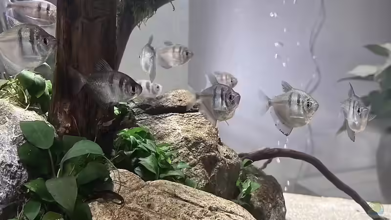 Dez. 20 von Chris_R. (14)