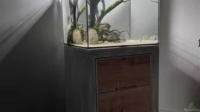 Dez. 20 von Chris_R. (15)